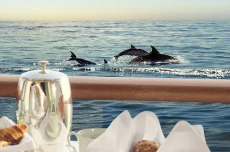 Happy Drink Promo – Leto 2026